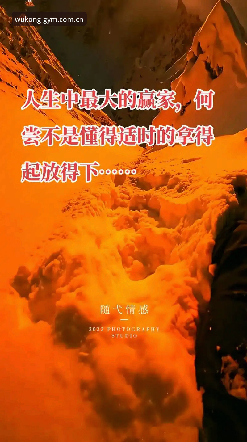 悟空体育电竞赛程查询安卓版 揭秘悟空体育电竞赛程查询安卓版:一个赌徒的清醒时刻